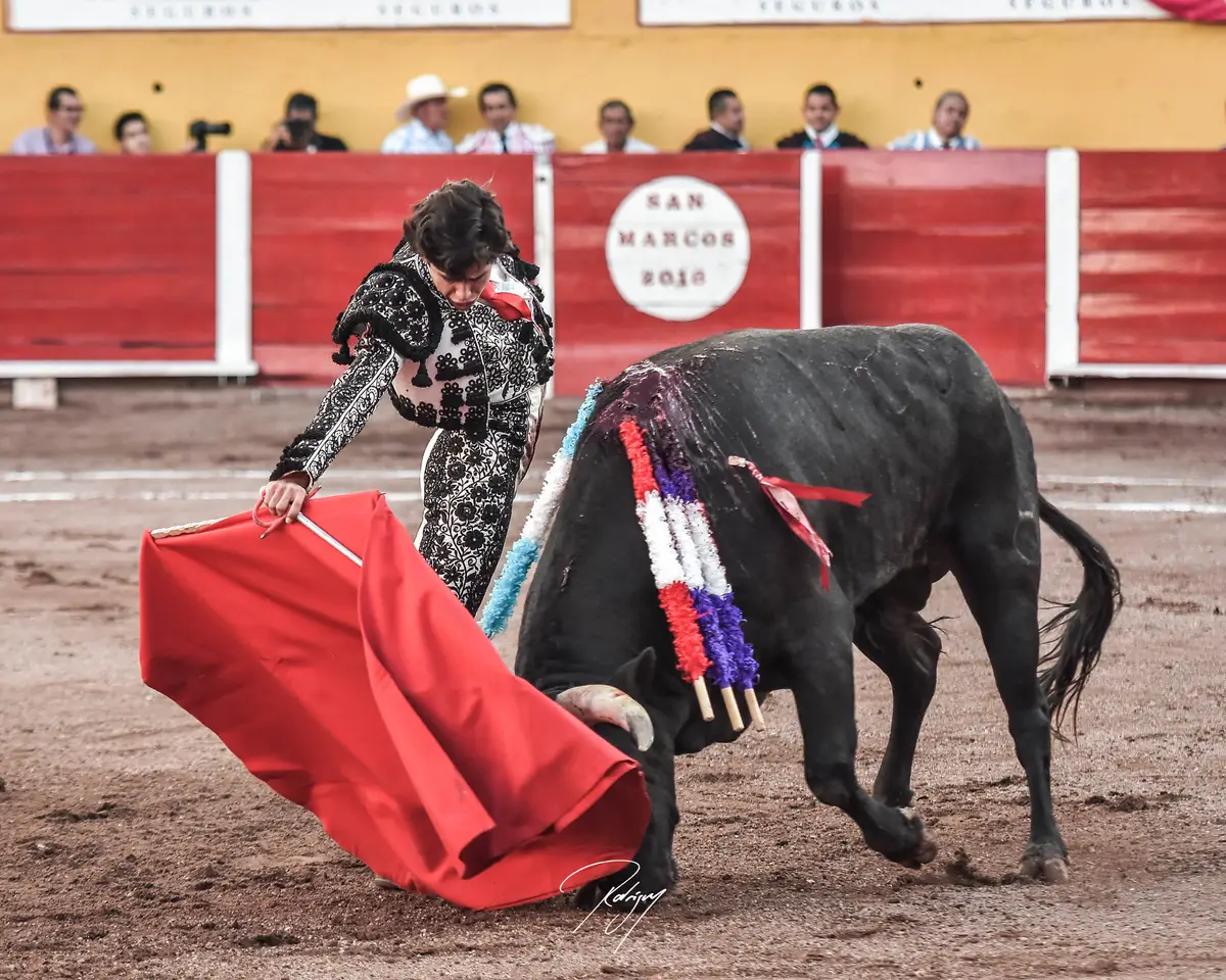 Novillada 25FEB18